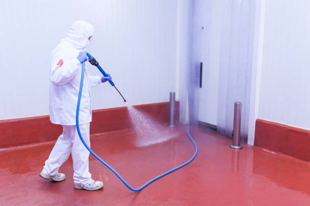 Pre-Holiday Cleaning in Seagoville, TX